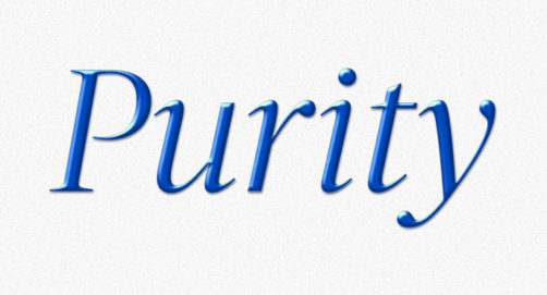 Jonathan Franzen: First Words On Purity – Work In Progress