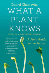 What A Plant Knows by Daniel Chamovitz