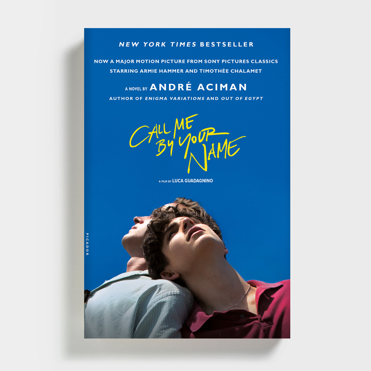 Call Me by Your Name by Andre Aciman Work in Progress.